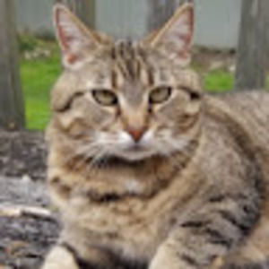 Meet your Posher, Freddy